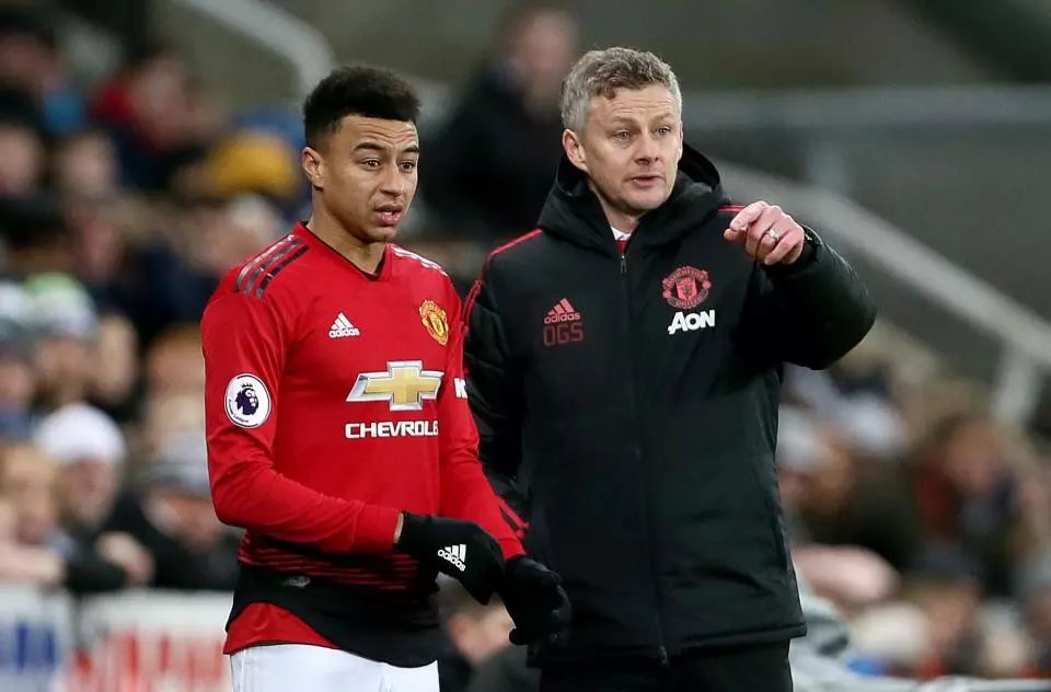 赛中展示了 赛中展示了