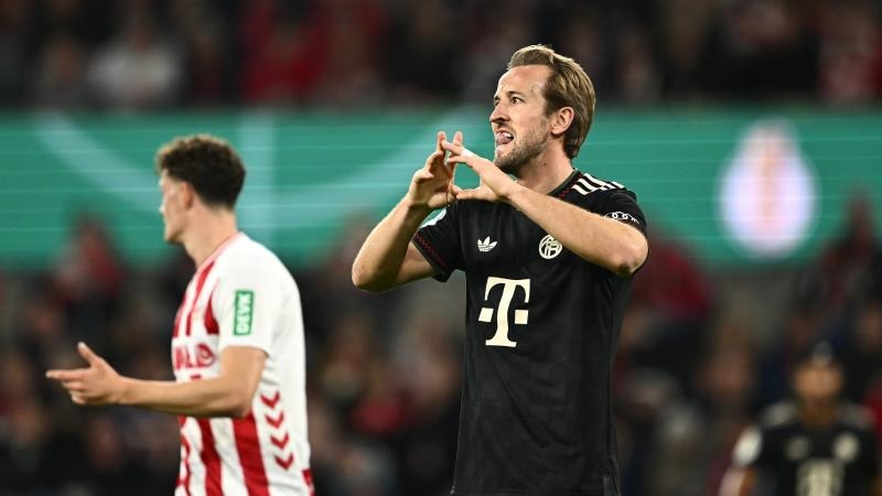 需要的篇幅 需要的篇幅